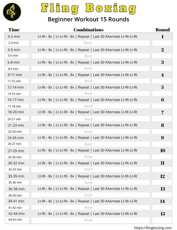 Fling Boxing Beginner Program