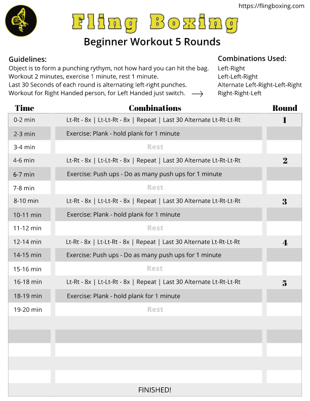 Fling Boxing Beginner 5 Rounds Program