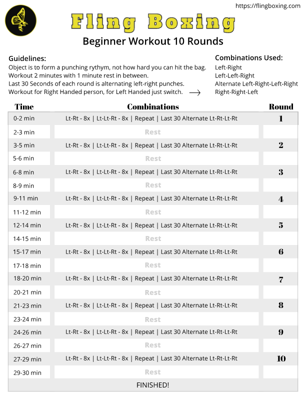 Fling Boxing Beginner Program