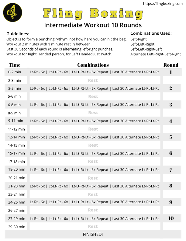 Fling Boxing Beginner Program