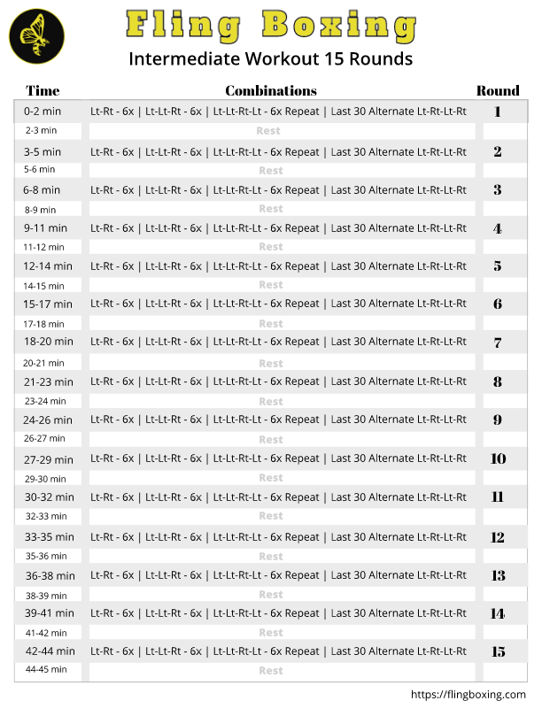 Fling Boxing Beginner Program